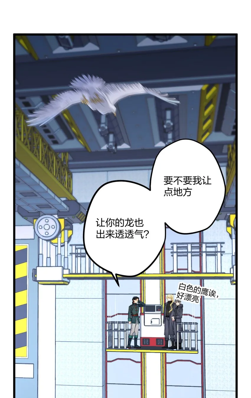 20 你是个向导？ 第41页