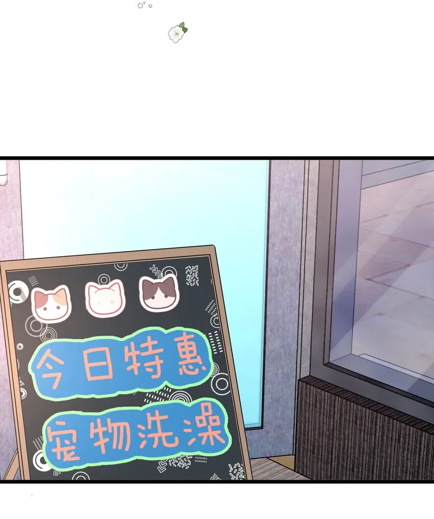 14 加西亚公爵 第37页