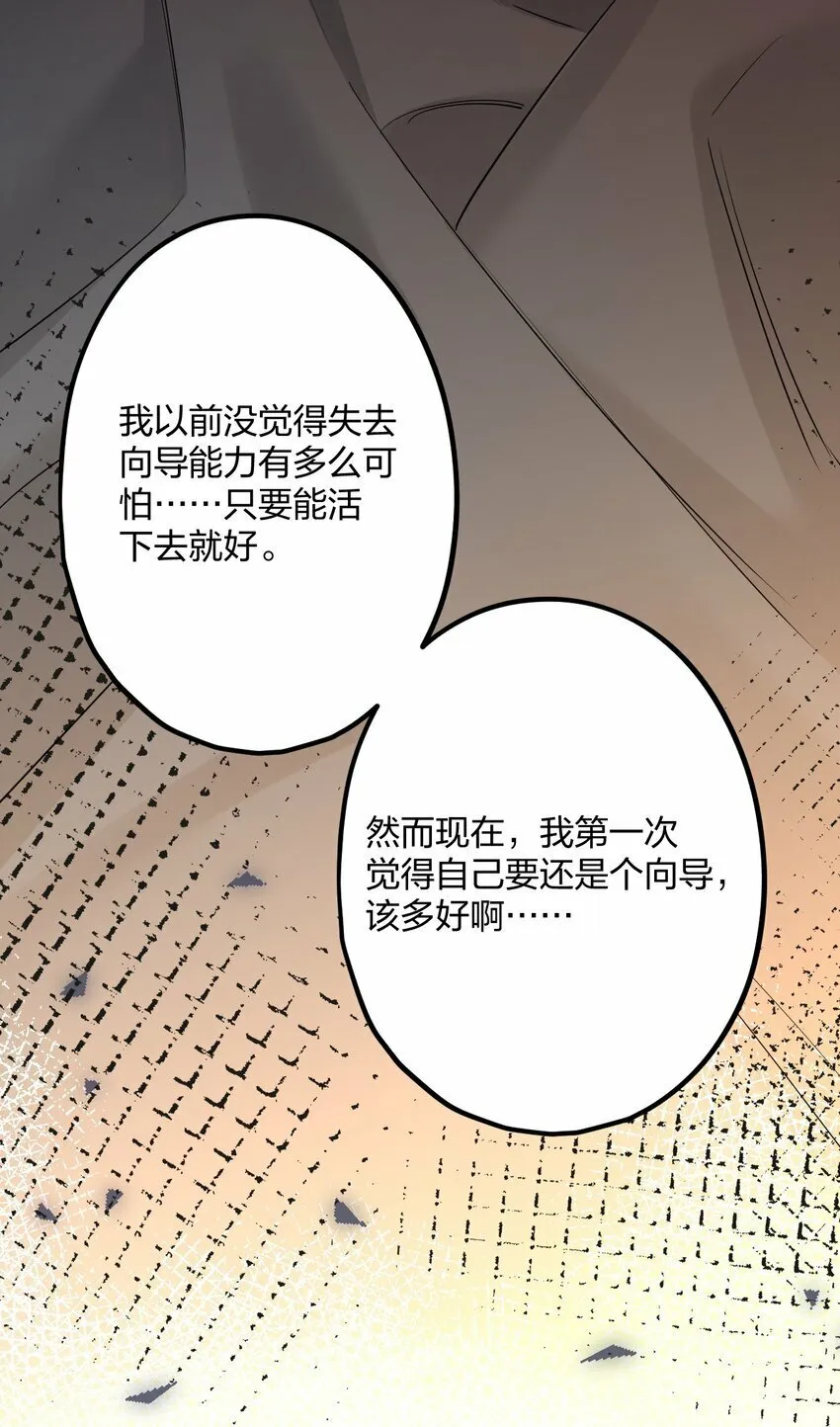 41 它正抱着你 第13页