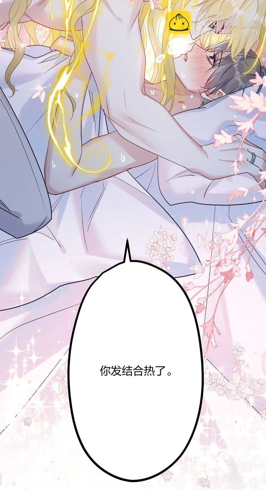 58 结合热 第13页