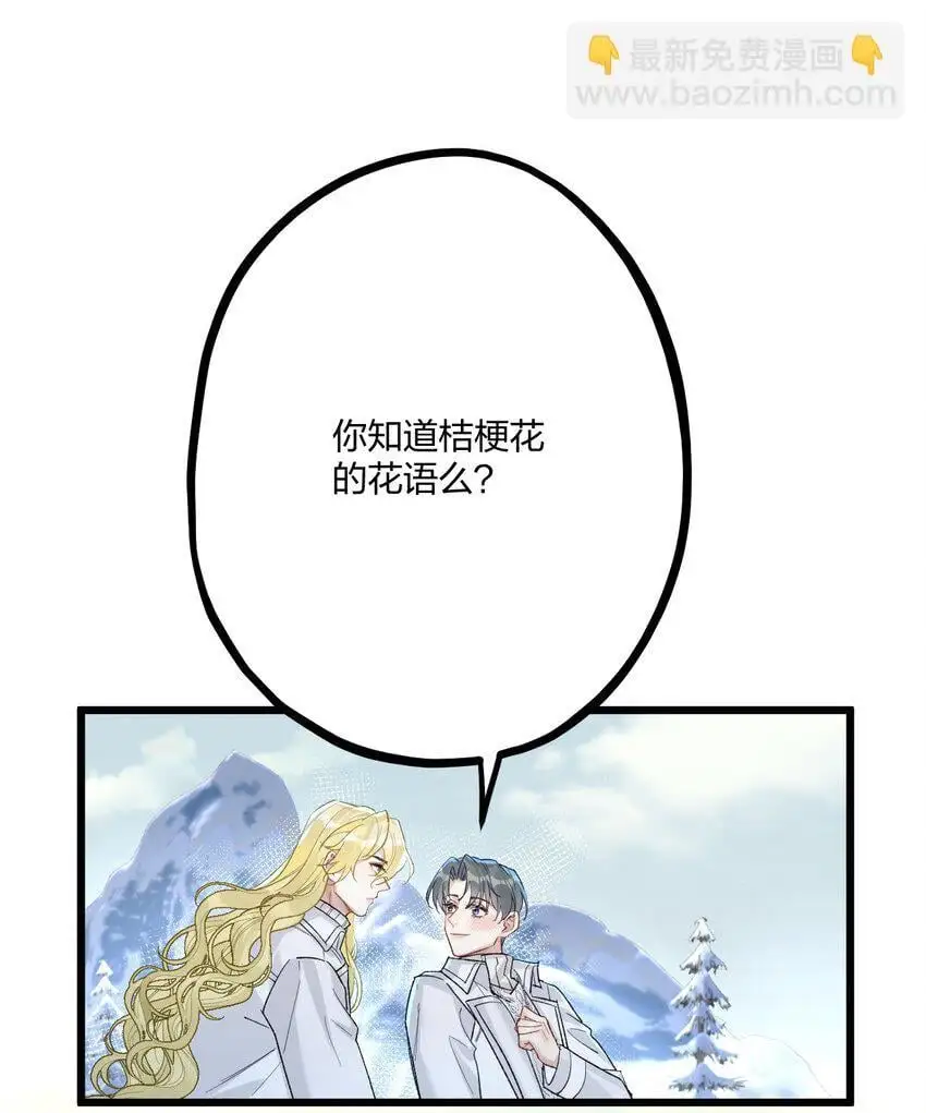 63 桔梗 第42页