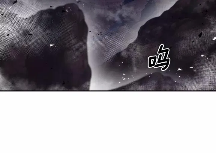 第43话 夜袭与守护 第14页