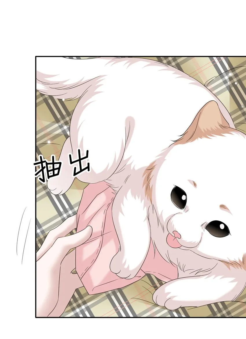 031 你可是它哥！ 第31页