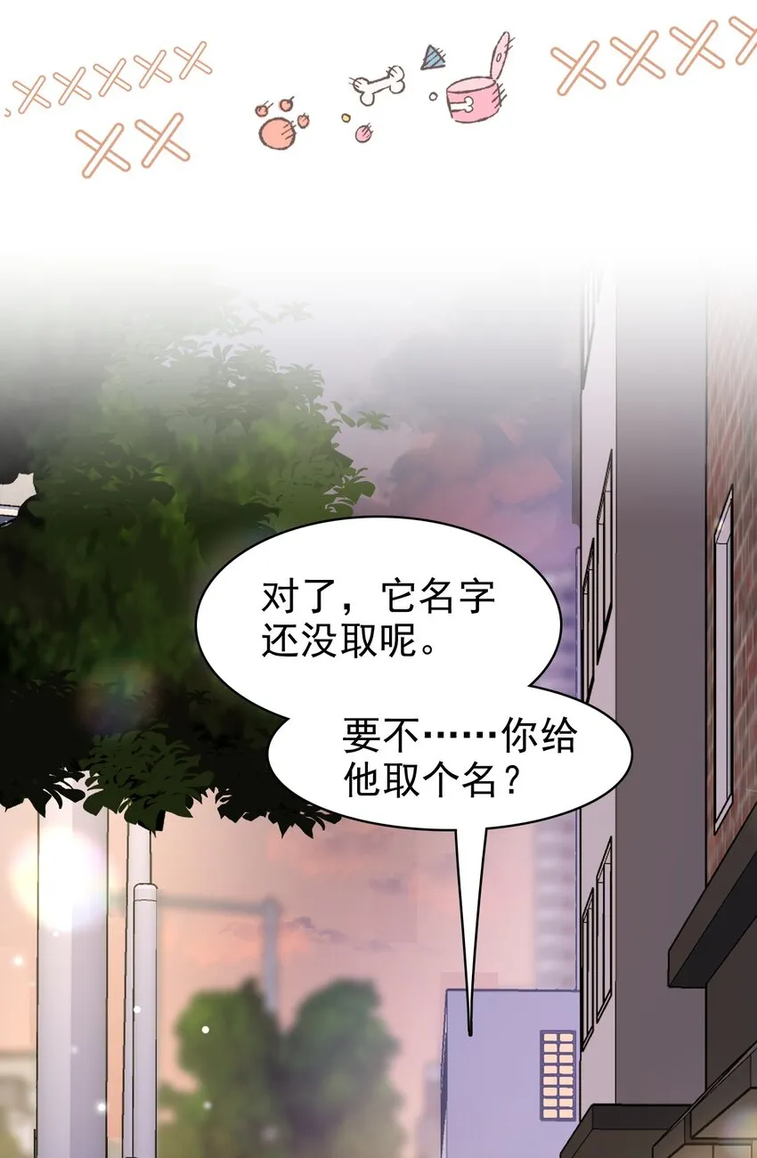 031 你可是它哥！ 第45页