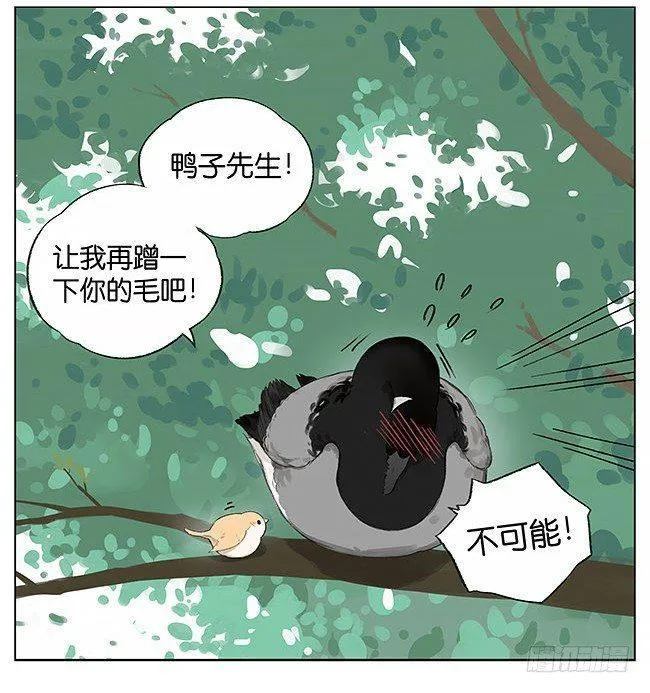 刮风。 第15页