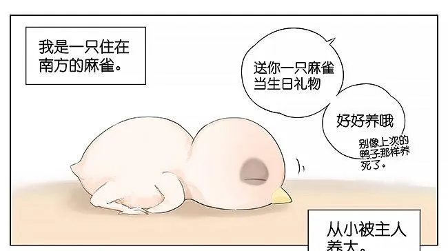 麻雀。 第1页