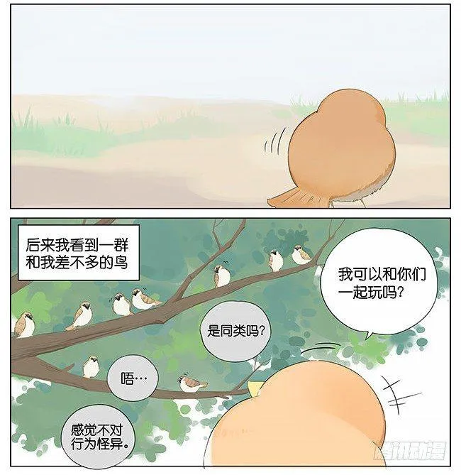 麻雀。 第6页