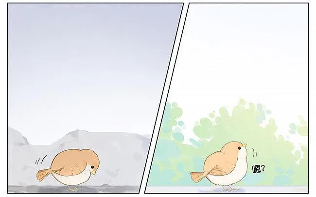 麻雀。 第12页