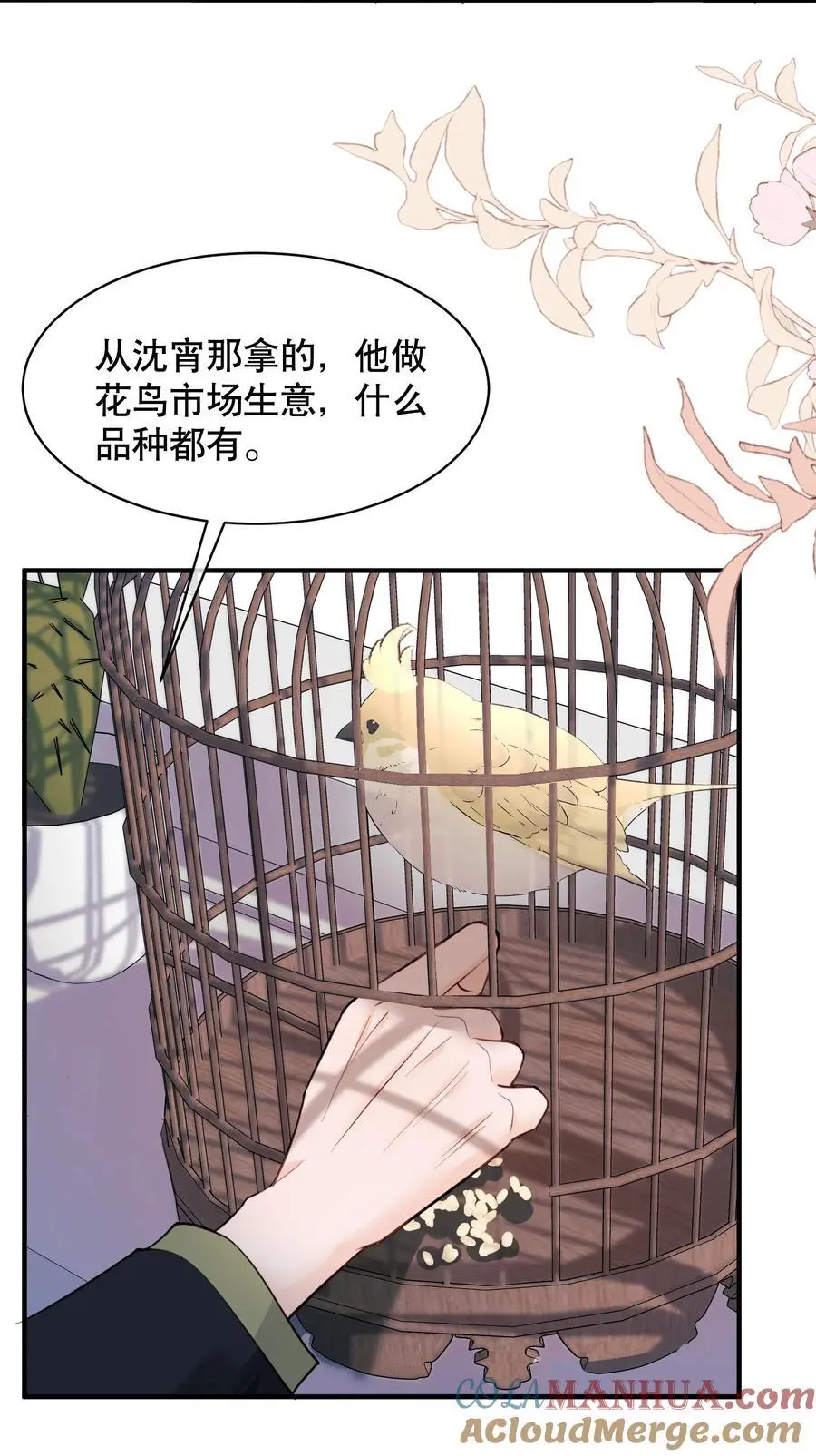 061 你行不行呀 第25页