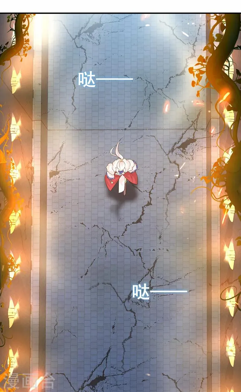 第203话 宝藏 第19页