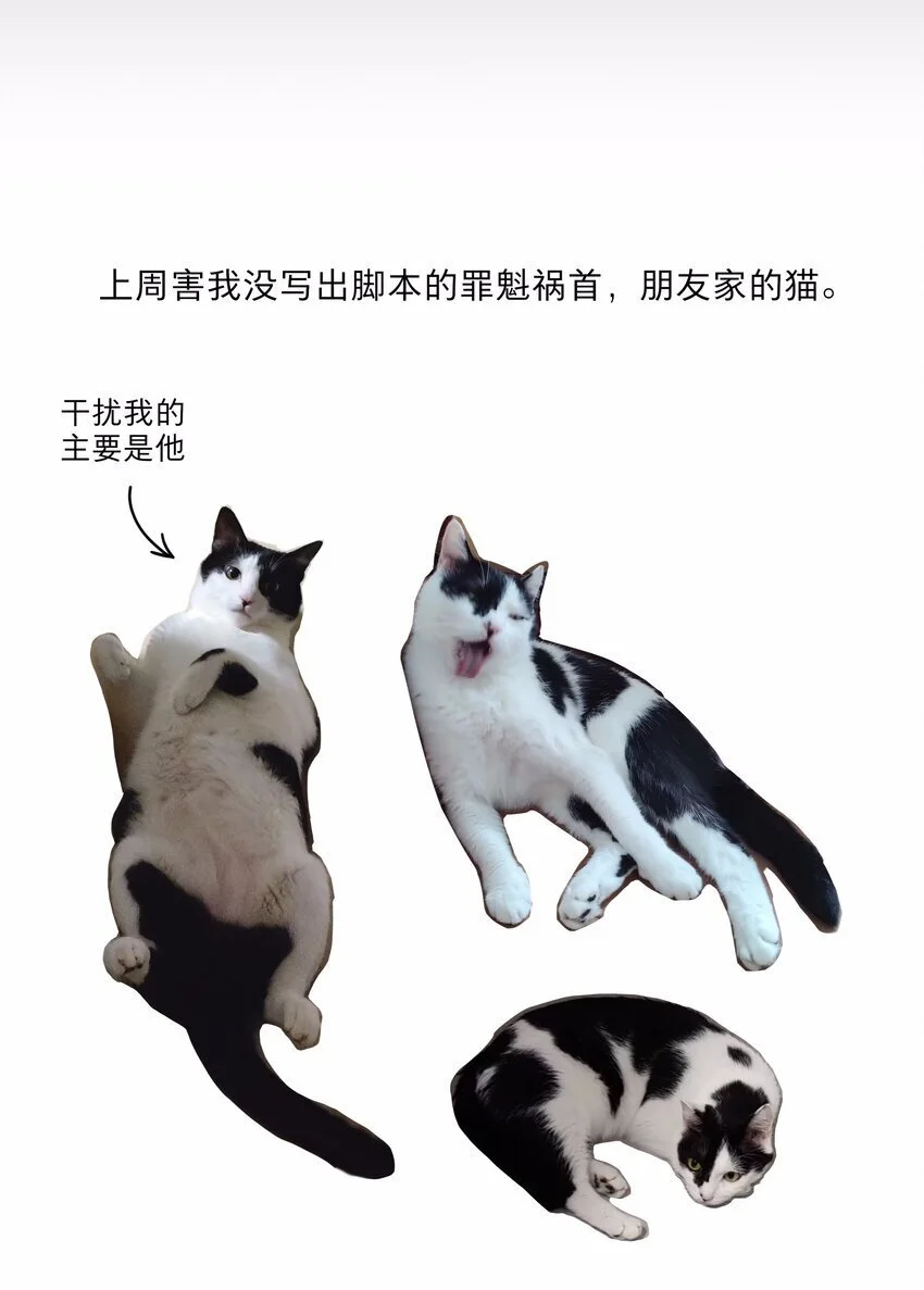 55 不想伤害她 第31页