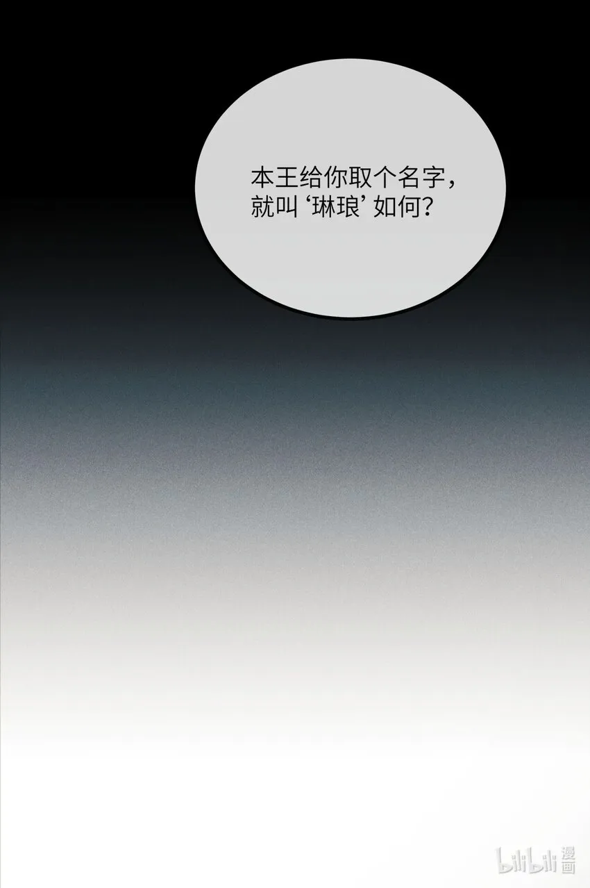 001 就叫“琳琅”如何 第50页