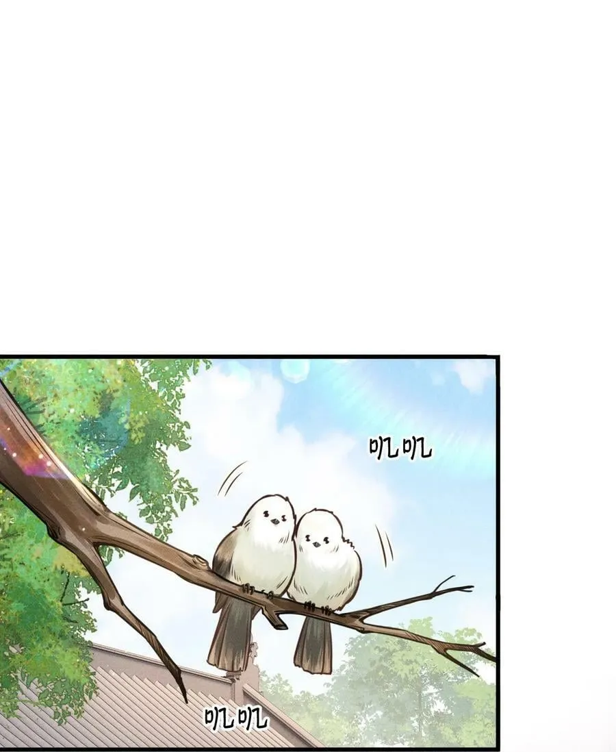 034 选东宫太子妃是什么标准 第2页