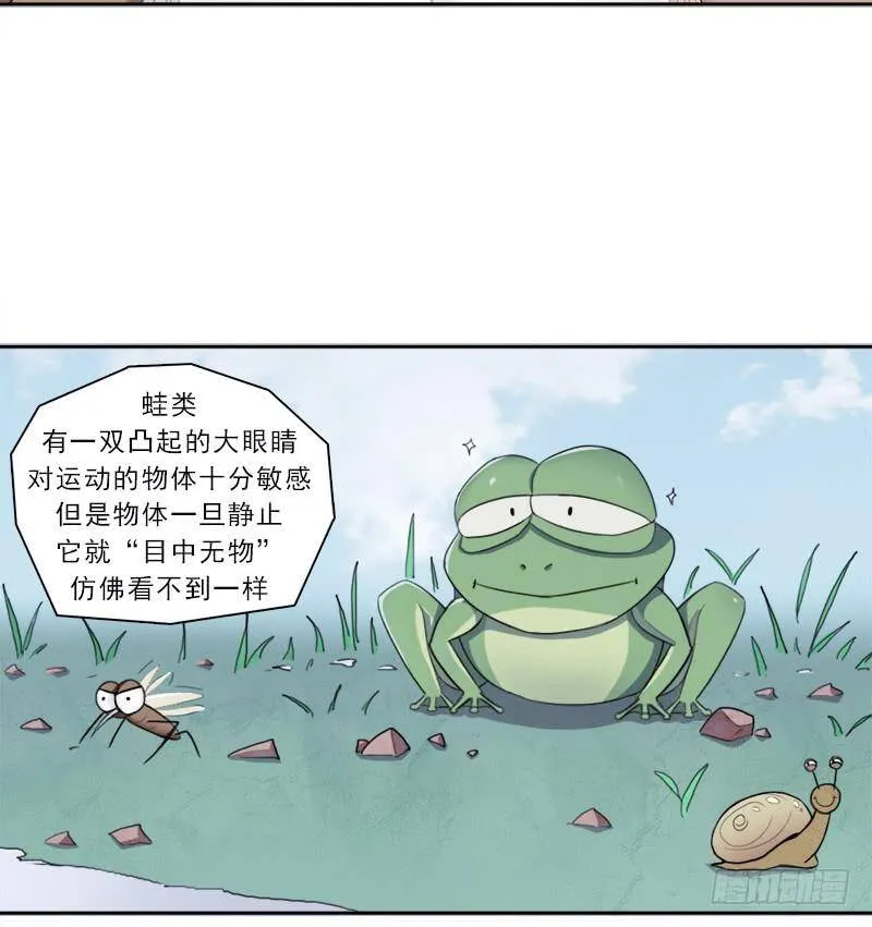 半狂化 第42页