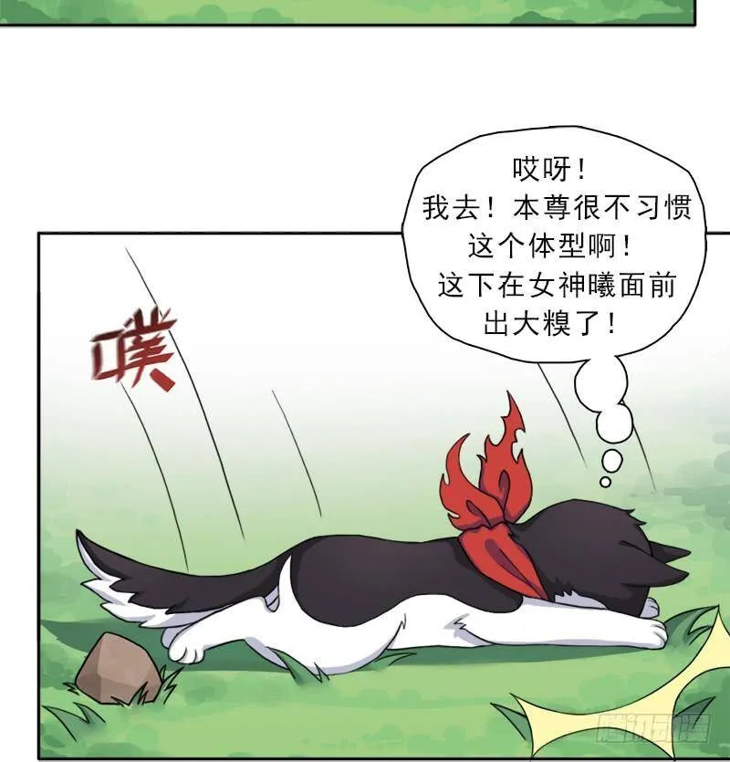 邪尊与女神曦 第26页