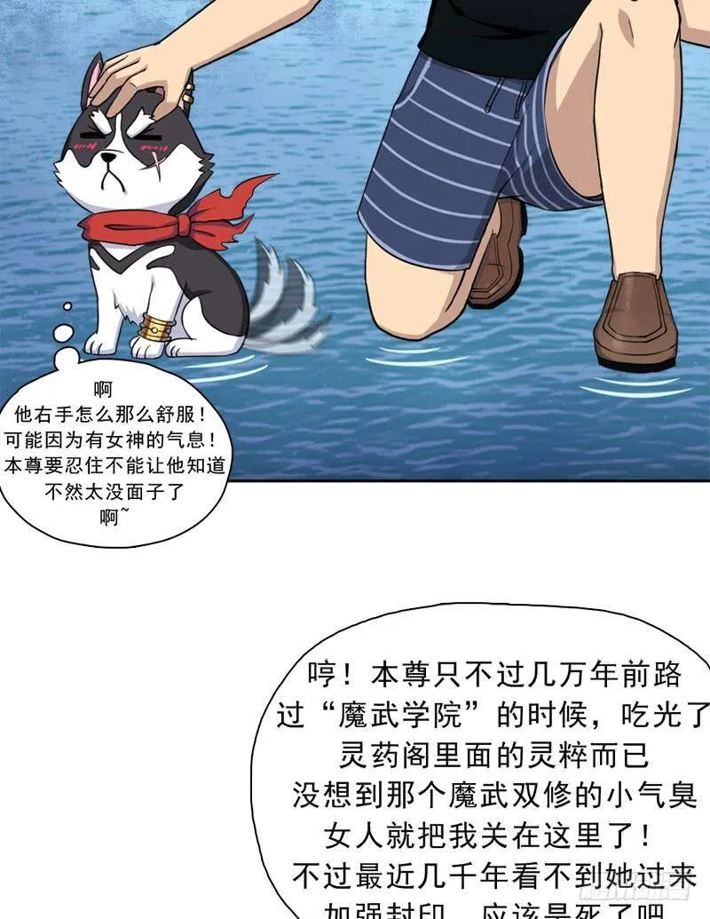 邪尊与女神曦 第34页