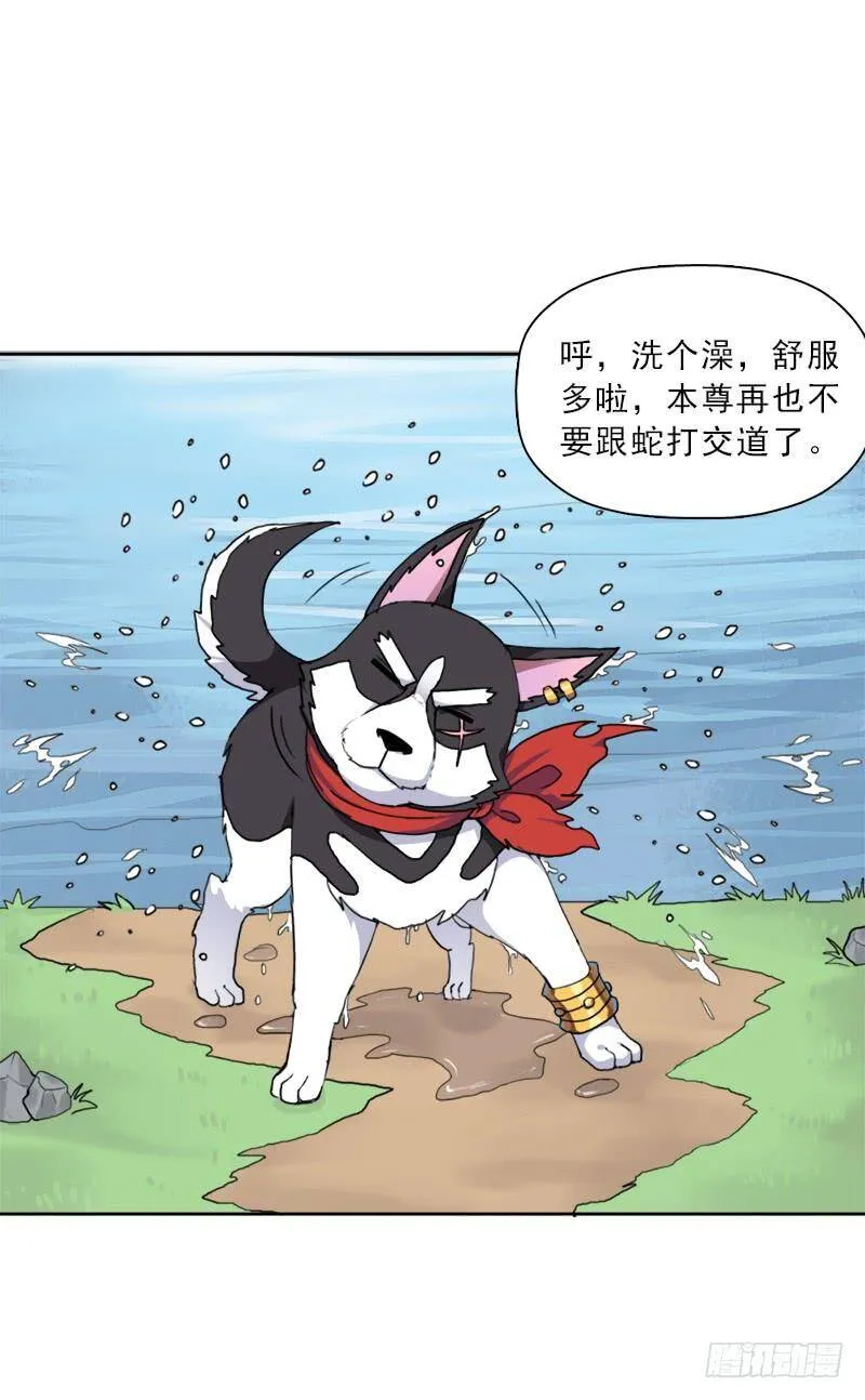 骨皇炼体 第35页