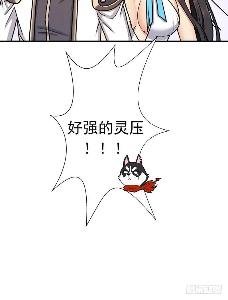 黑熊VS花衣 第50页