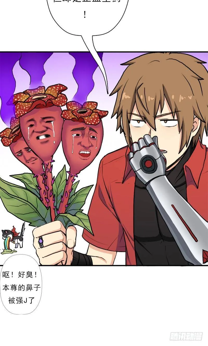 善意的谎言 第11页
