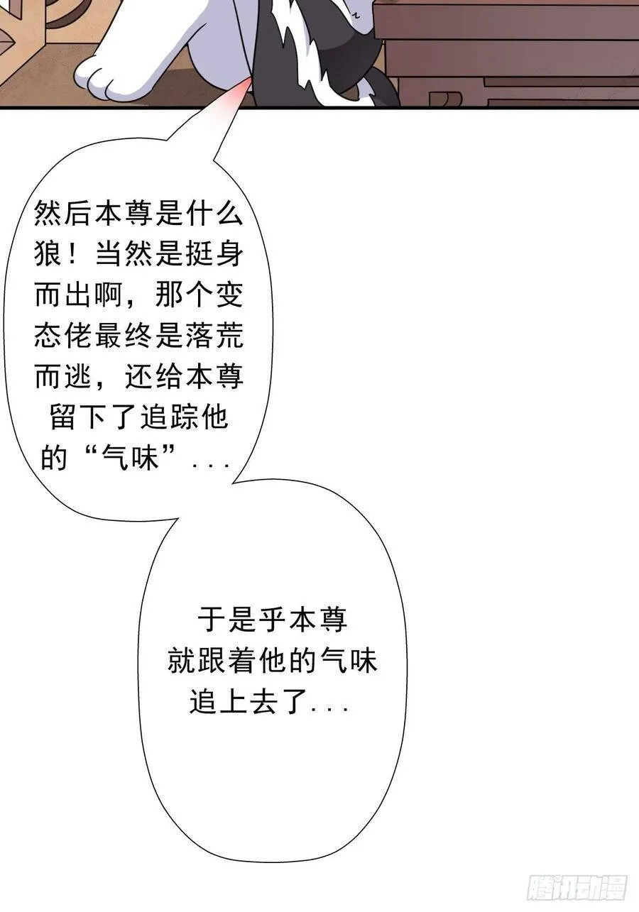 三个月后“神降” 第51页