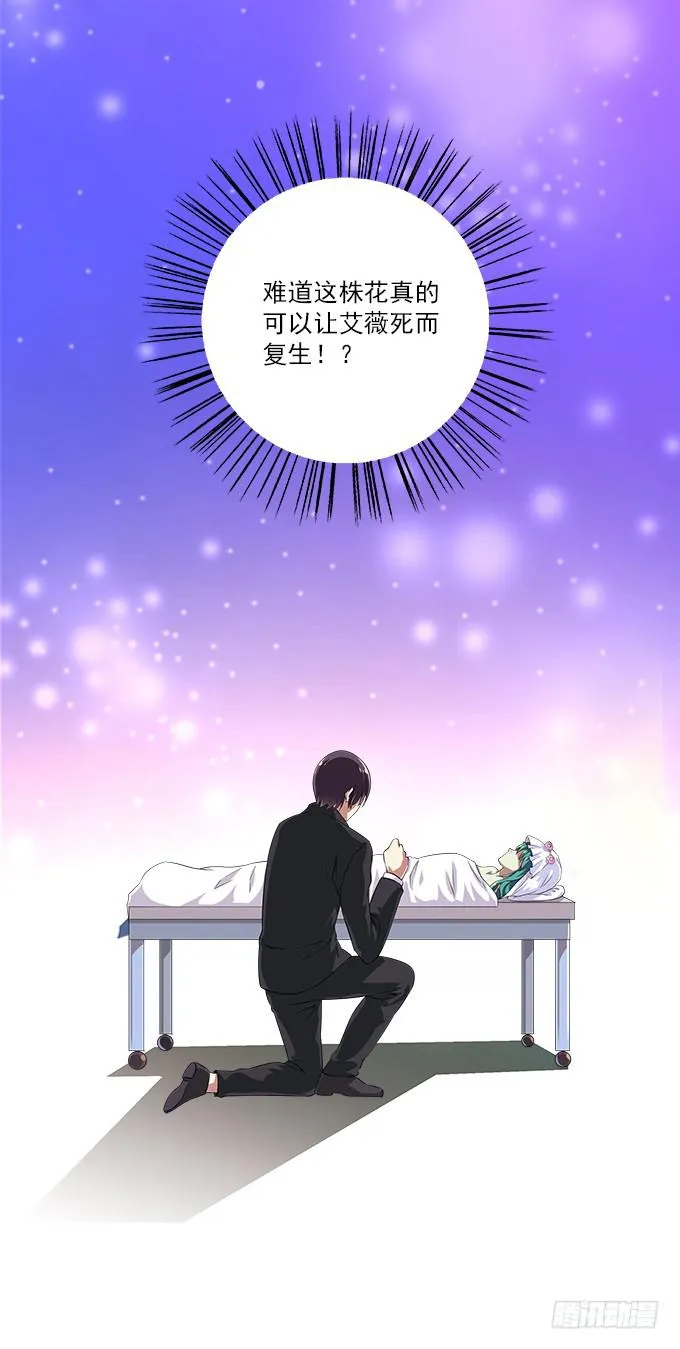 【鸢尾花1】阴阳相隔 第13页
