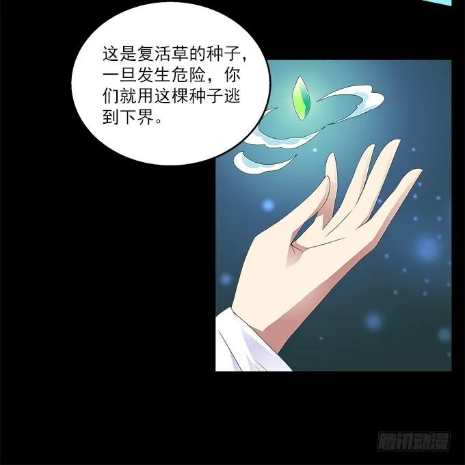 蛇果的诅咒 第5页