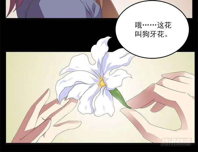 狗牙花 第37页