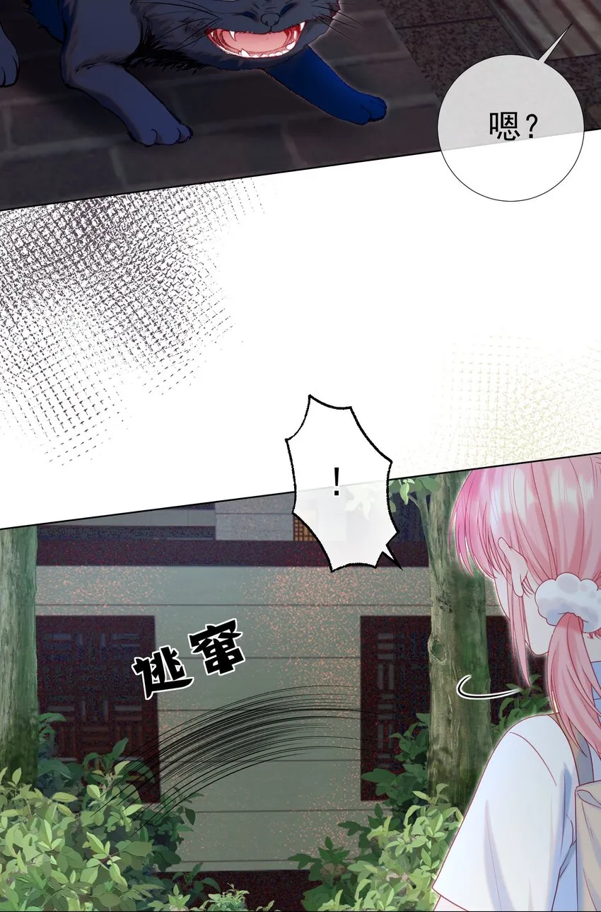 015 危险夜袭 第58页