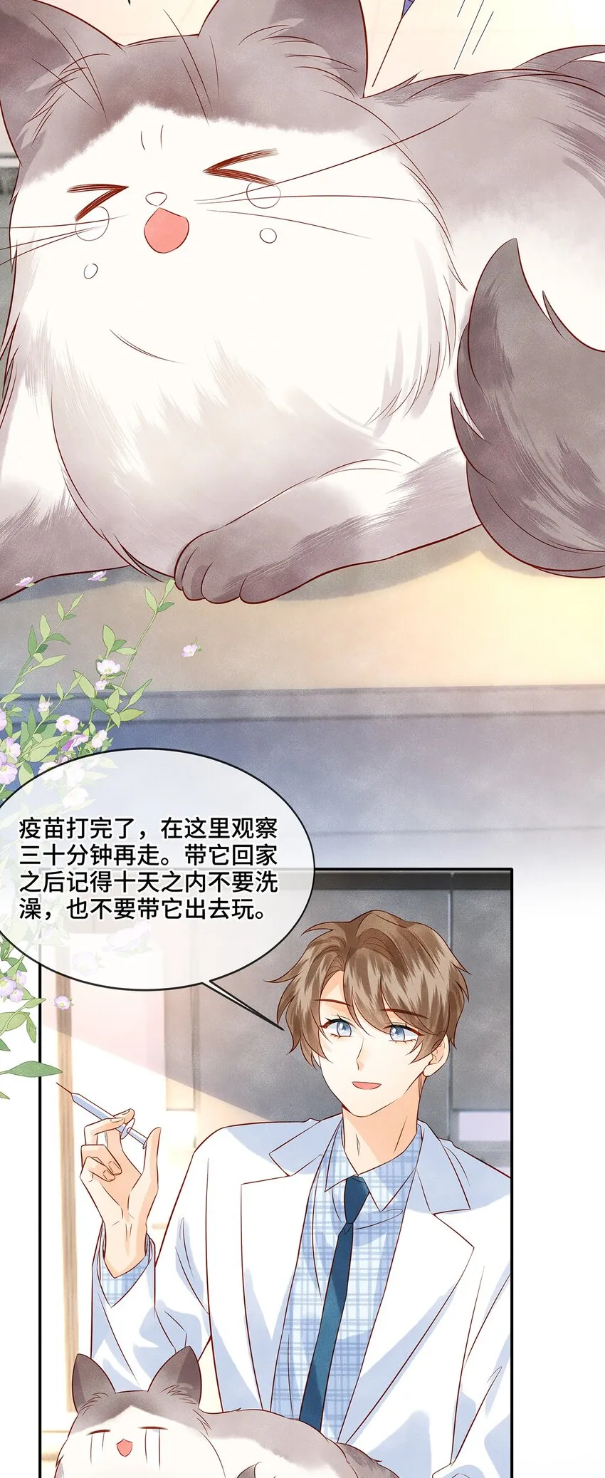 027 放开觉晓哥！ 第6页