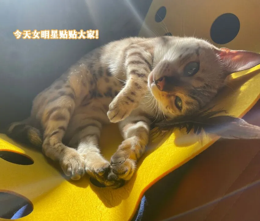 022 你喜欢抱着东西睡啊 第38页