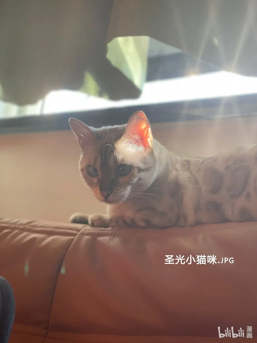 019 觉晓真的挺喜欢你的 第33页