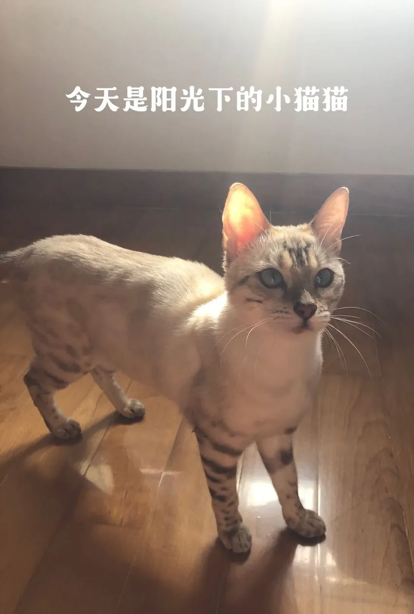 018 劲野，今天我酷吗？ 第33页