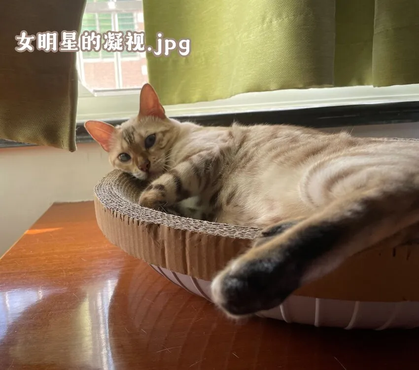 016 觉晓哥，我脸疼…… 第30页