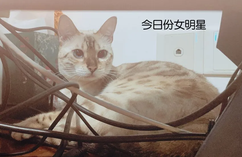 015 他的温柔，令我忍不住想要靠近 第41页