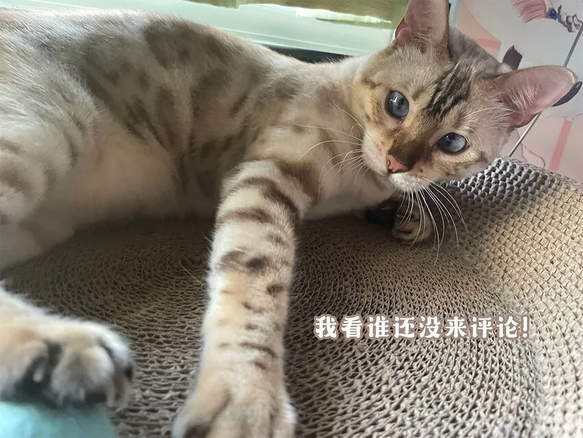 014 他根本就是活该！ 第40页