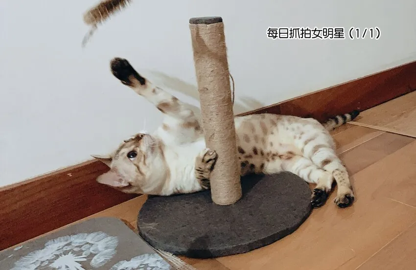 011 我会盯好你的 第46页