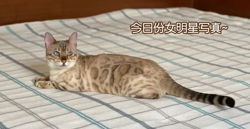 010 见家长？！ 第44页