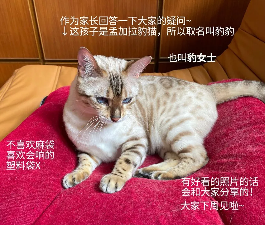 003 他身上好香 第46页