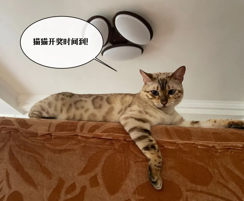 004 他就像猫咪一样 第35页