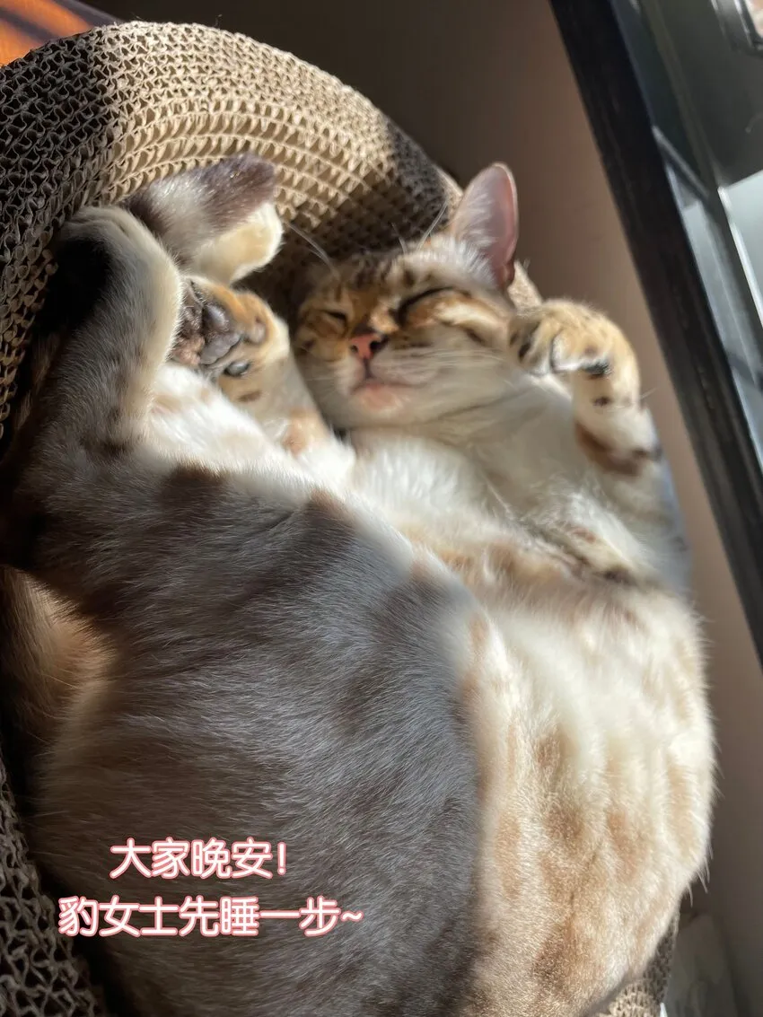 008 劲野，你是不是不想住校？ 第40页