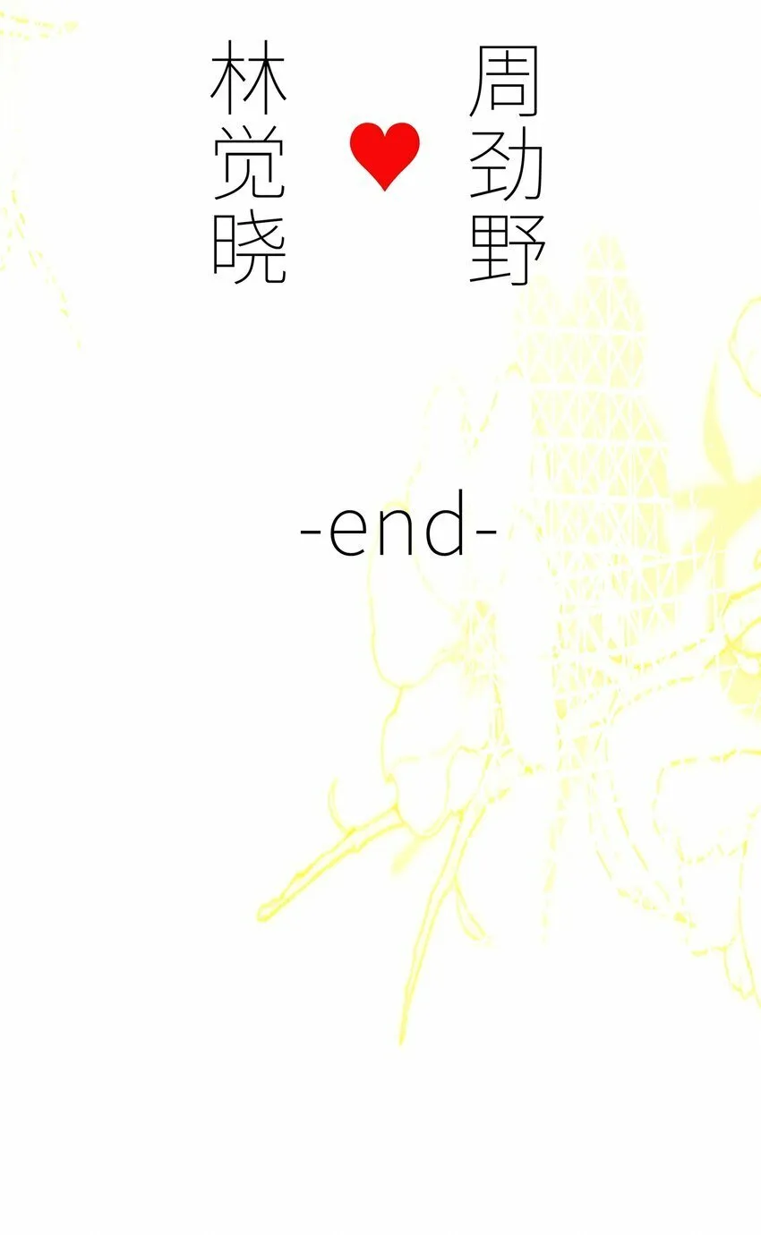 046 46 第51页
