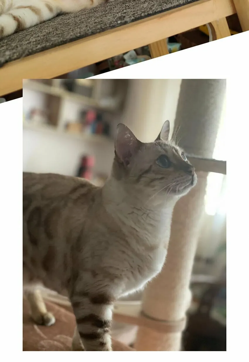 046 46 第57页