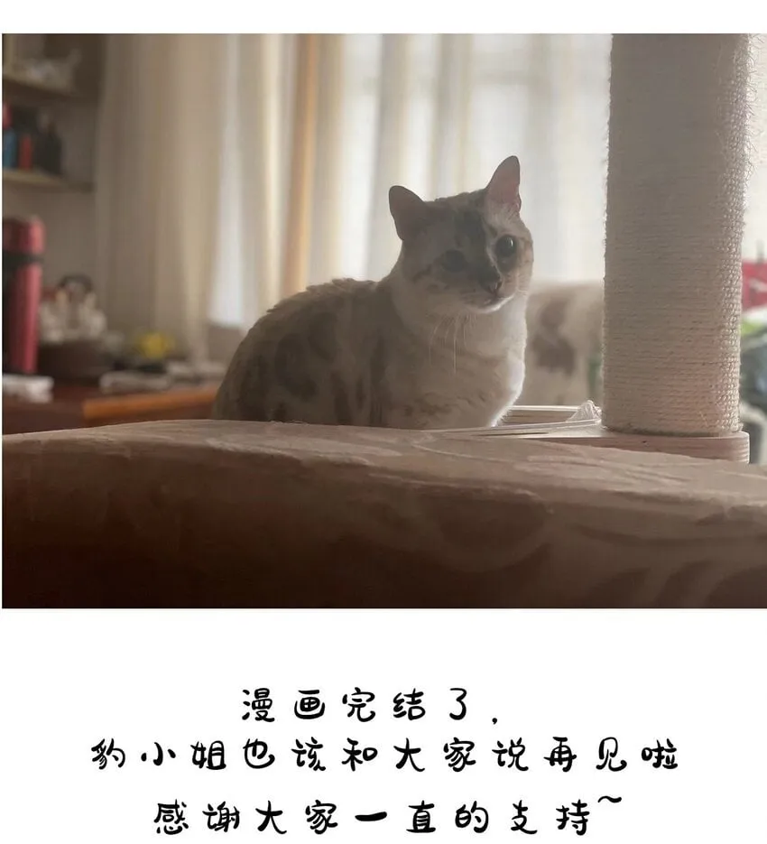 046 46 第58页