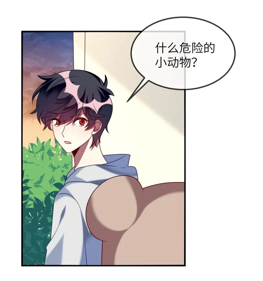 077 这是什么情况 第21页