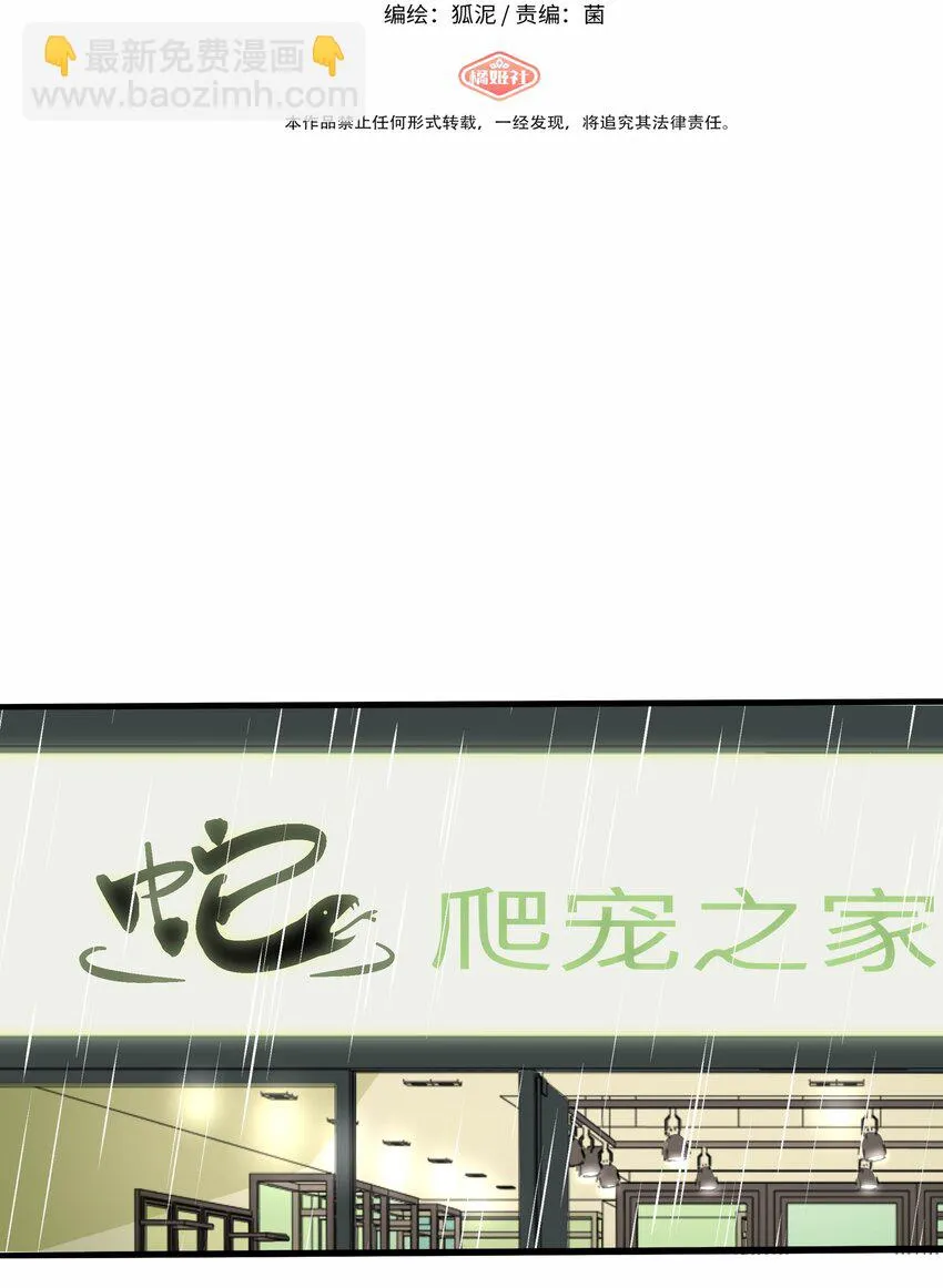 028 后盾 第2页