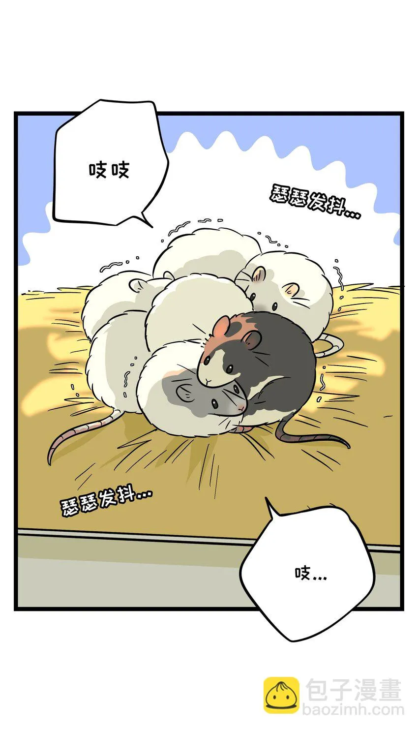 028 后盾 第3页