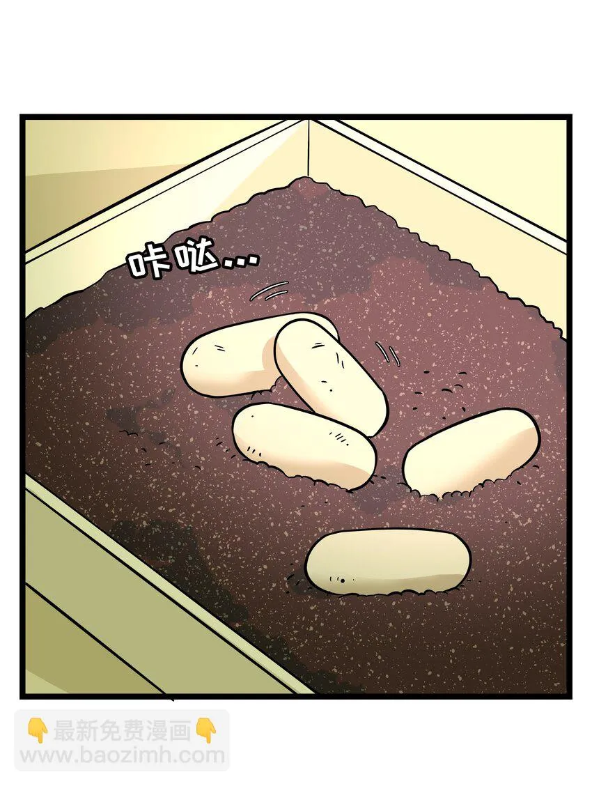 028 后盾 第6页