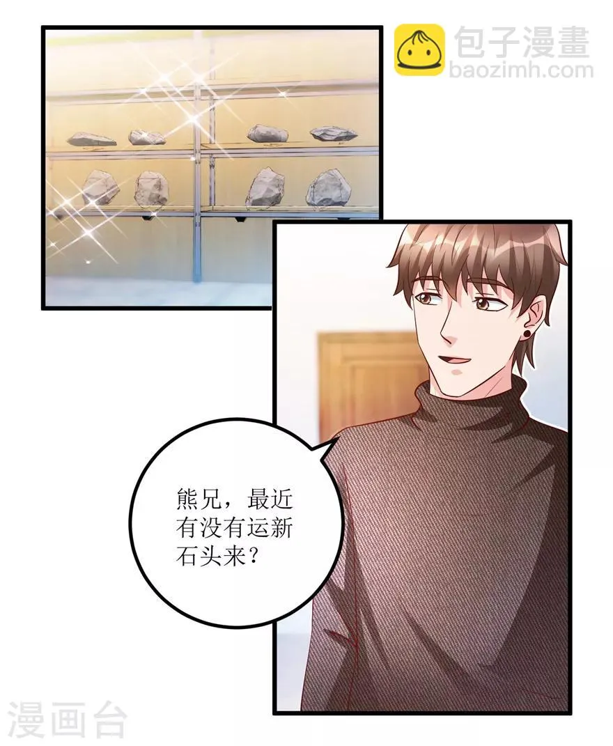 第86话 新开的缅甸赌石坊 第4页