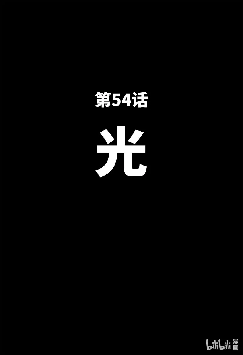 54光 第4页