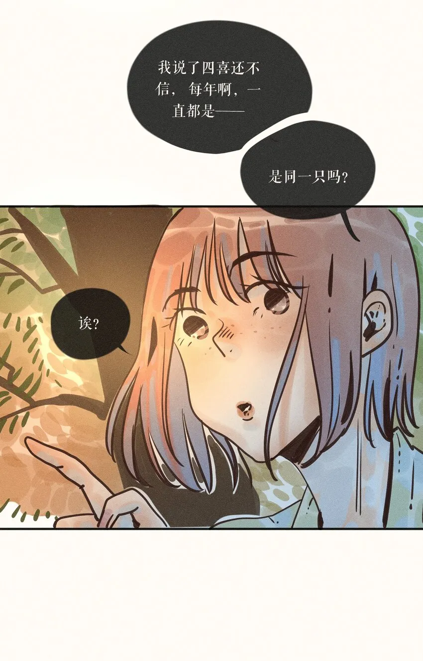 17 第十七话 第28页